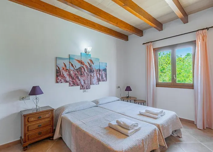 ヴィラ Pallicer *