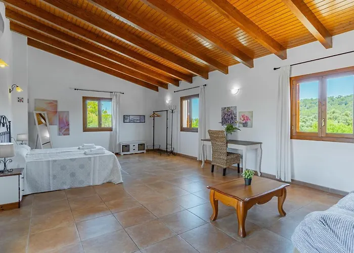 Pallicer ヴィラ *